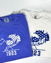 Load image into Gallery viewer, East Potomac Golf Links Centennial T-shirt
